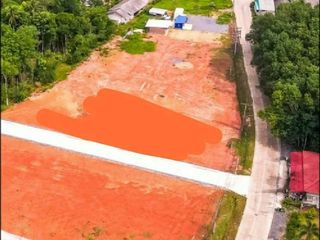 For sale land in Wiang Sa, Surat Thani