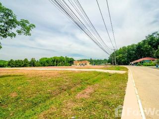 For sale land in Wiang Sa, Surat Thani