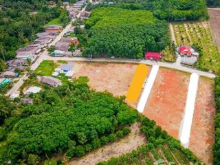 For sale land in Wiang Sa, Surat Thani