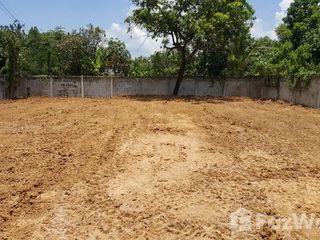 For sale land in Ban Dan Lan Hoi, Sukhothai