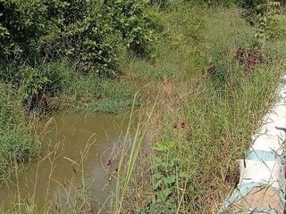 For sale land in Banphot Phisai, Nakhon Sawan
