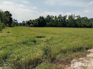 For sale land in Banphot Phisai, Nakhon Sawan