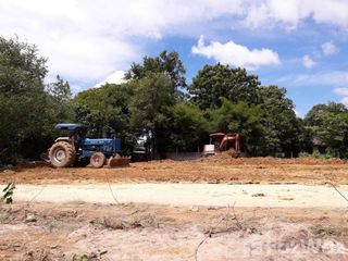 For sale land in Tham Phannara, Nakhon Si Thammarat
