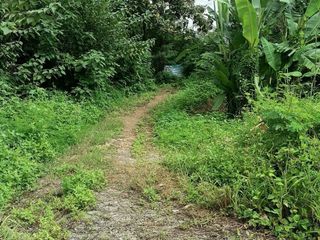 For sale land in Song, Phrae