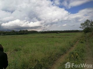 For sale land in Song, Phrae
