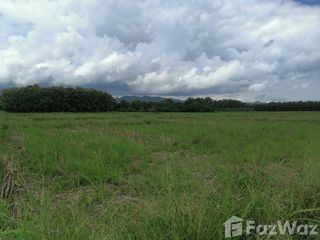 For sale land in Song, Phrae