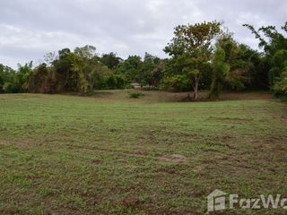 For sale land in Mae Chan, Chiang Rai