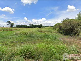 For sale land in Mueang Phitsanulok, Phitsanulok