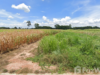 For sale land in Mueang Phitsanulok, Phitsanulok