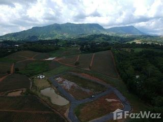 For sale land in Khao Kho, Phetchabun