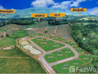 For sale land in Khao Kho, Phetchabun