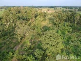 For sale land in Wat Sing, Chainat