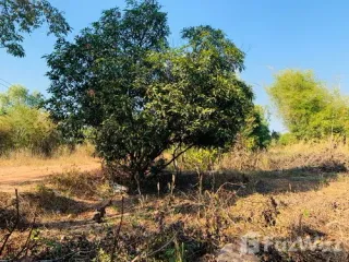 For sale land in Sawang Daen Din, Sakon Nakhon