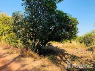 For sale land in Sawang Daen Din, Sakon Nakhon