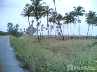 For sale land in Yaring, Pattani