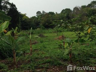 For sale land in Khao Kho, Phetchabun