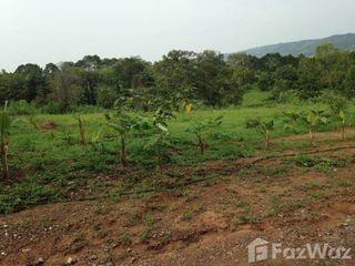 For sale land in Khao Kho, Phetchabun
