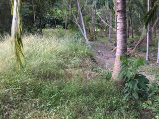 For sale land in Tha Sala, Nakhon Si Thammarat