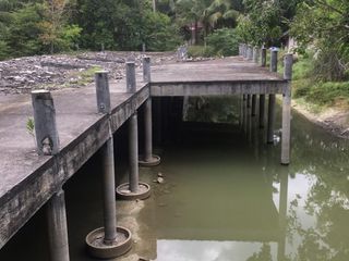 For sale land in Tha Sala, Nakhon Si Thammarat