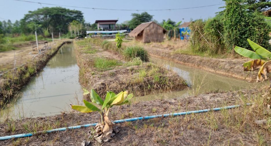 For sale land in Mueang Phichit, Phichit