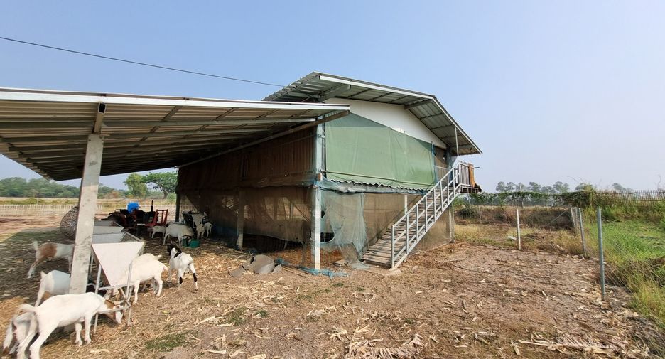 For sale land in Mueang Phichit, Phichit