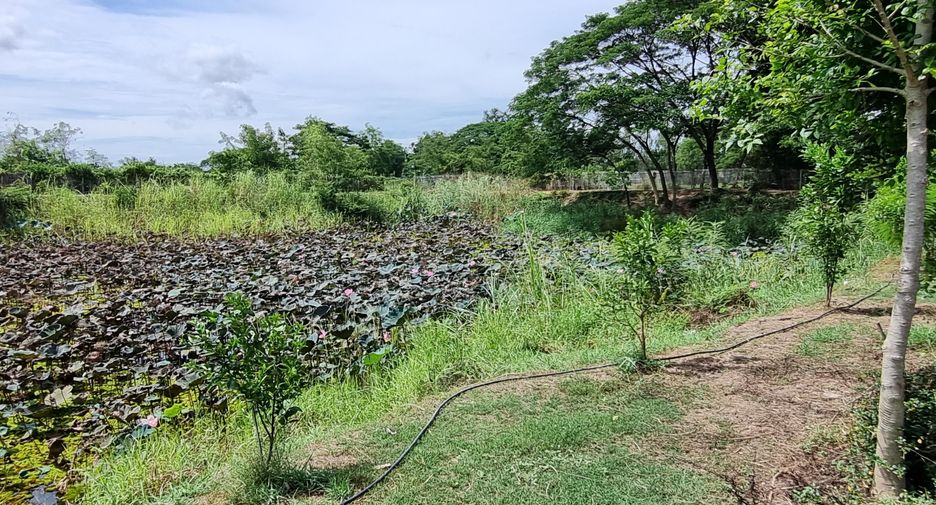 For sale land in Mueang Phichit, Phichit