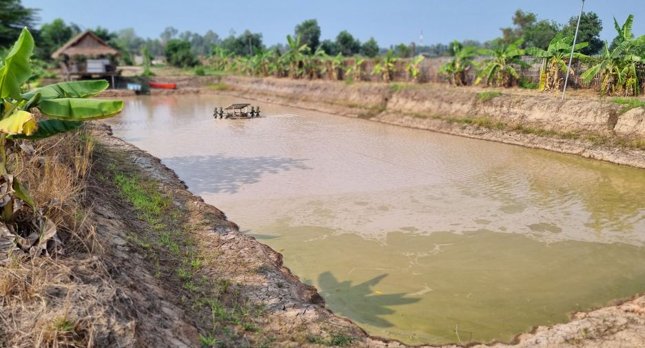 For sale land in Mueang Phichit, Phichit