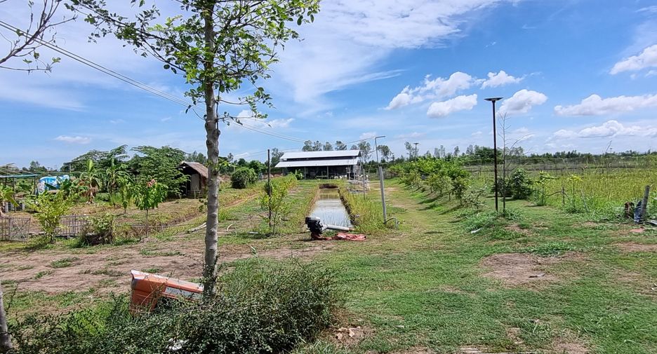 For sale land in Mueang Phichit, Phichit
