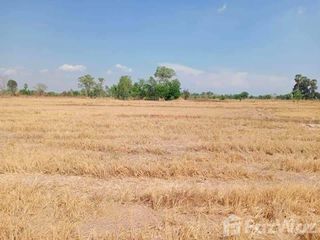 For sale land in Hankha, Chainat