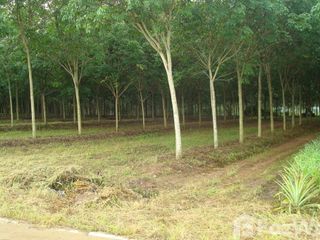 For sale land in Bo Thong, Chonburi