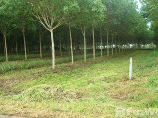 For sale land in Bo Thong, Chonburi