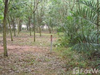 For sale land in Bo Thong, Chonburi