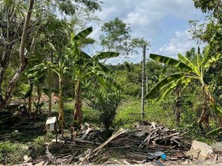 For sale land in Huai Yot, Trang