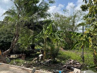 For sale land in Huai Yot, Trang