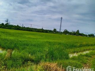 For sale land in Pak Tho, Ratchaburi