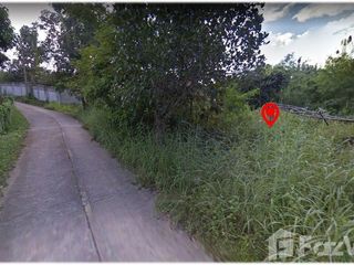 For sale land in Pai, Mae Hong Son