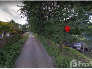 For sale land in Pai, Mae Hong Son