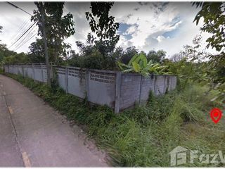 For sale land in Pai, Mae Hong Son