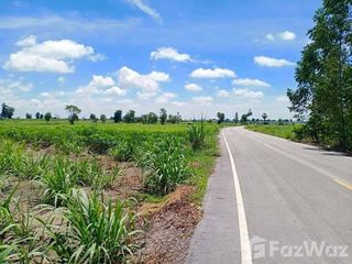 For sale land in Noen Kham, Chainat