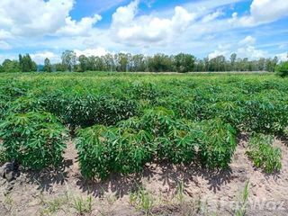 For sale land in Noen Kham, Chainat