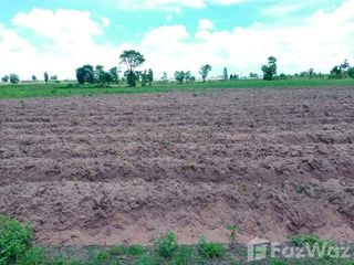 For sale land in Noen Kham, Chainat