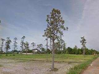 For sale land in Phibun Mangsahan, Ubon Ratchathani