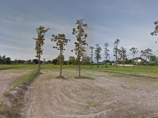 For sale land in Phibun Mangsahan, Ubon Ratchathani