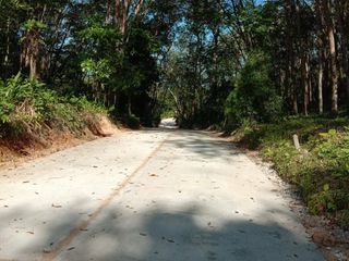 For sale land in Ko Yao, Phang Nga
