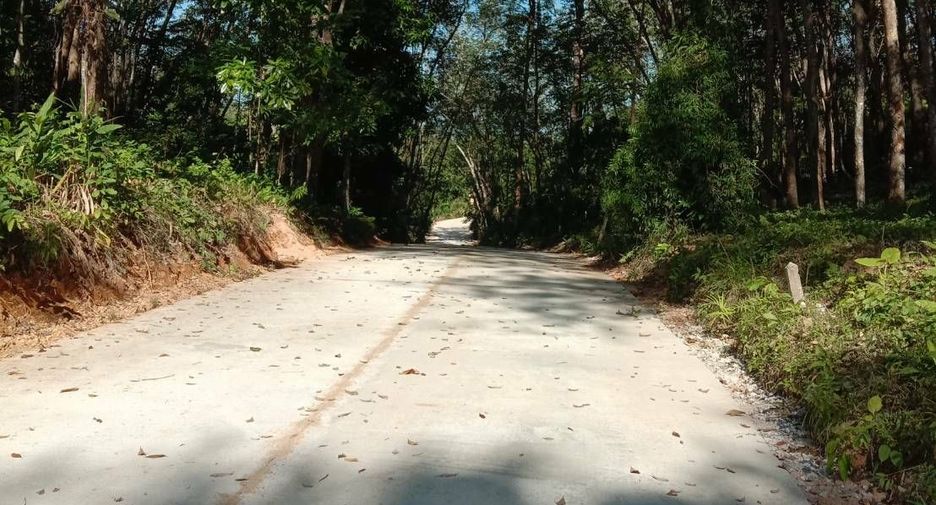 ขาย ที่ดิน ใน เกาะยาว, พังงา