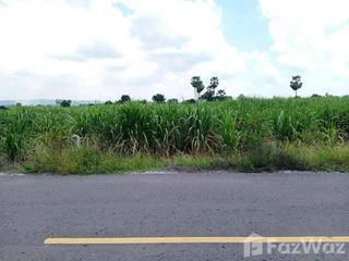 For sale land in Noen Kham, Chainat