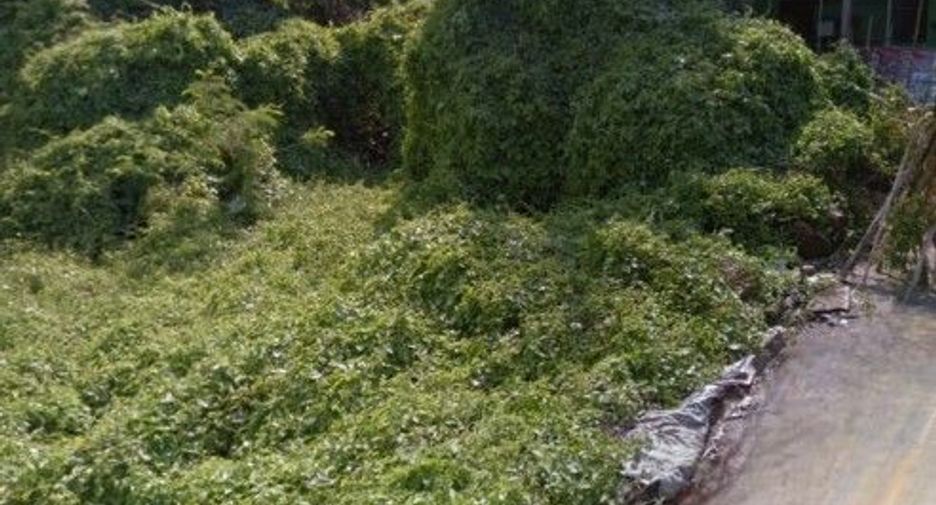For sale land in Mueang Ratchaburi, Ratchaburi