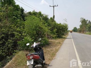 For sale land in Hankha, Chainat