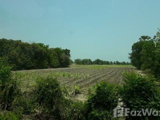 For sale land in Hankha, Chainat