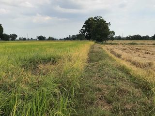 For sale land in Ban Mi, Lopburi